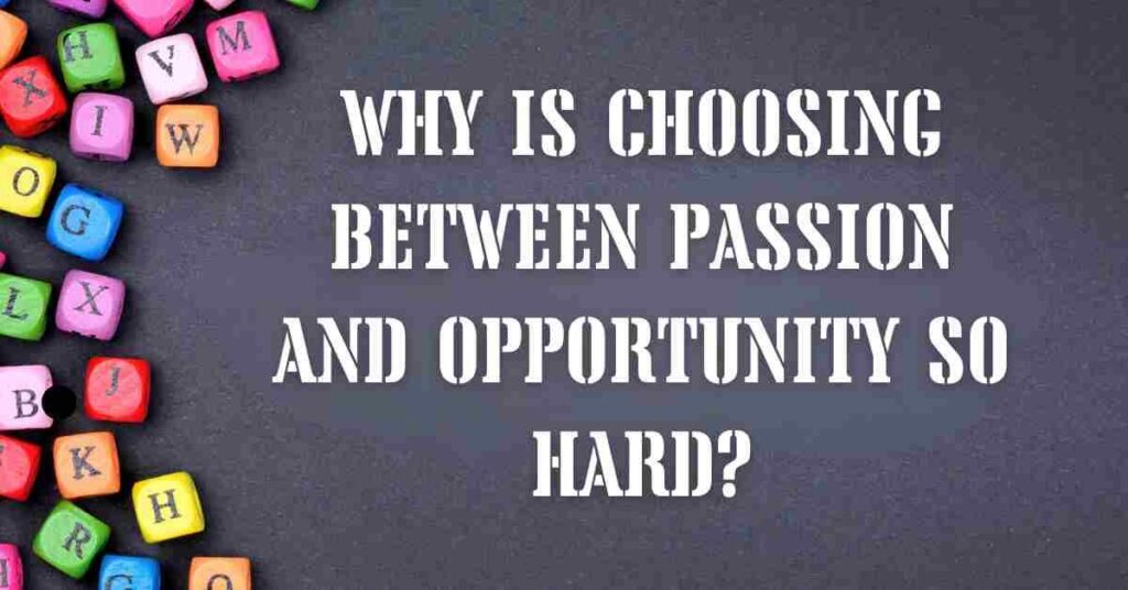How to choose the right career path after university