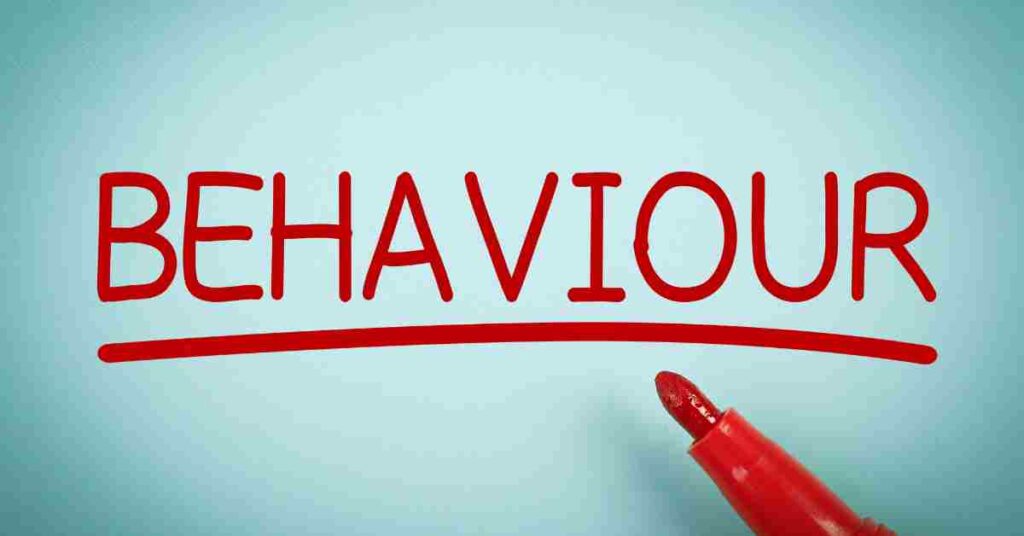 Why a polished CV is a risky way to hire​