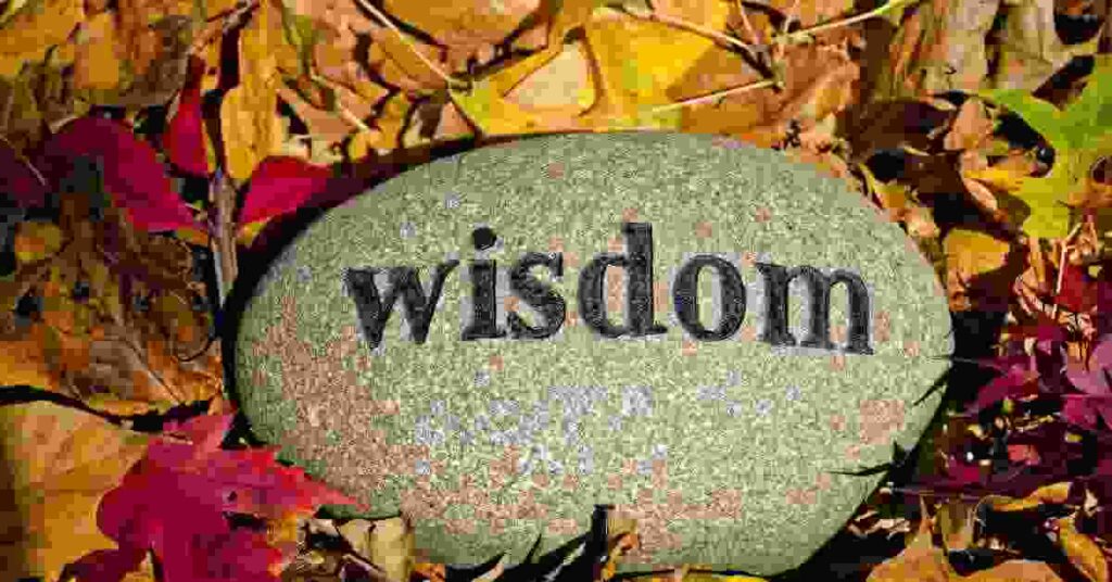 The value of being still before a big decision